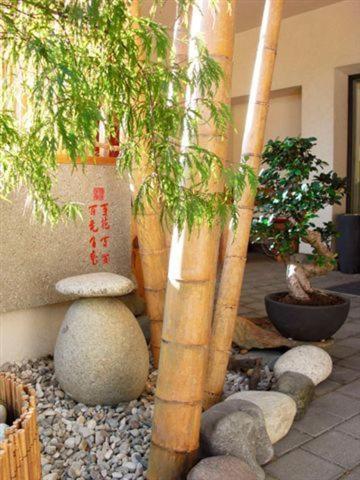 Garni Cremona Bed & Breakfast Bressanone Bagian luar foto